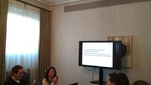 Taller de proyectos de cooperación europea. “De lo creativo a lo técnico”. Bloque I