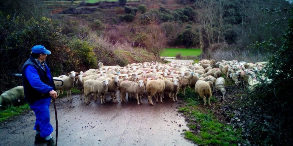 Vídeos y presentaciones de la jornada “Oportunidades para el Medio Rural”