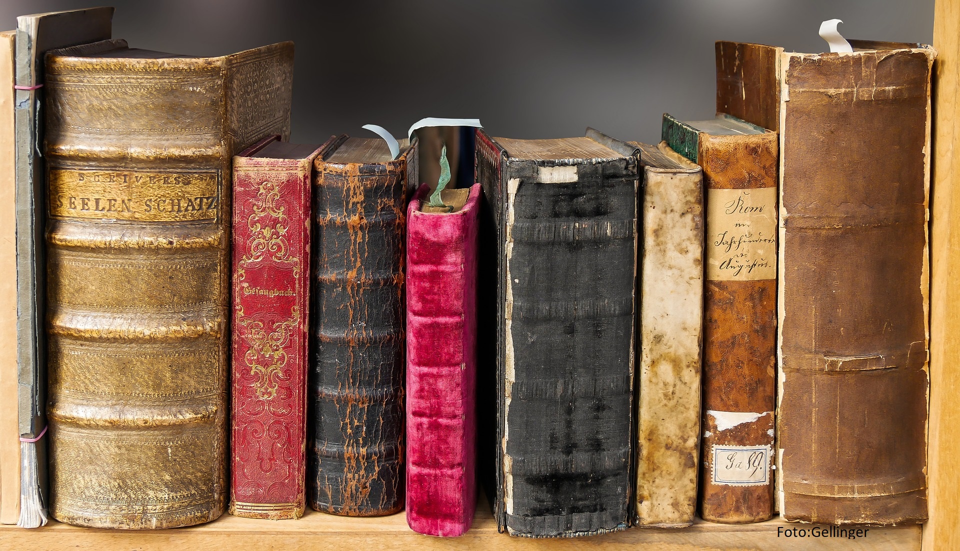 Resultados de la convocatoria de Traducción Literaria 2019